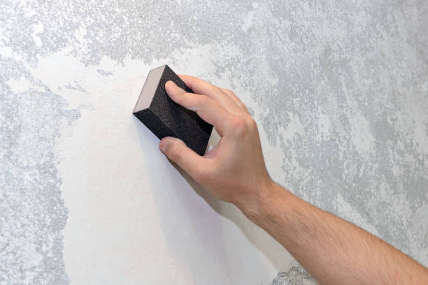 Mold Odor Removal Services in Ashland, AL