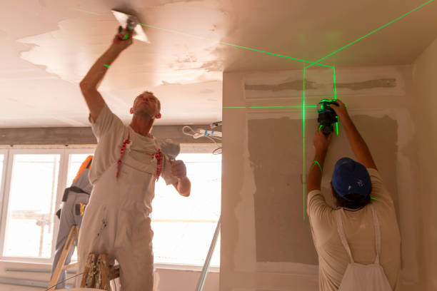 Mold Remediation for Rental Properties in Ashland, AL