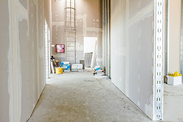 Asbestos and Lead Testing During Mold Inspection in Ashland, AL